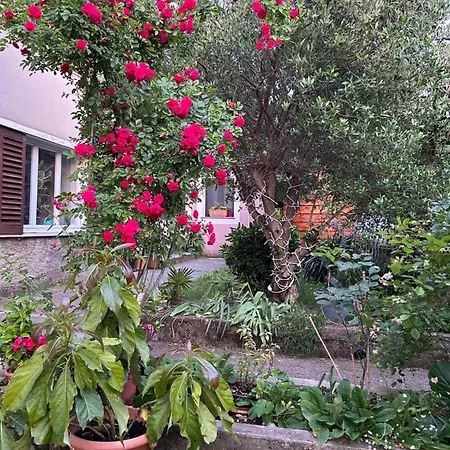 Casa Flora Dom wakacyjny