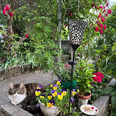 Casa Flora *